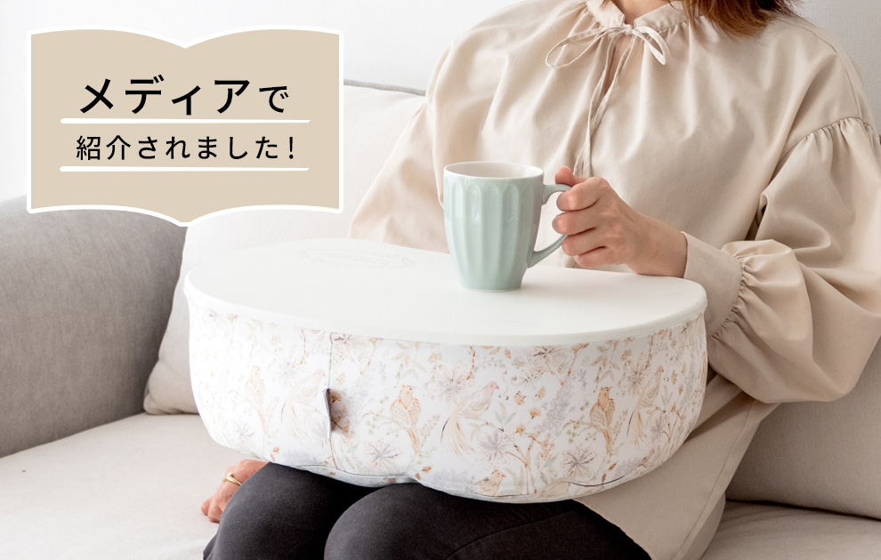 日本ネット経済新聞でDenaテーブルクッションが紹介されました！