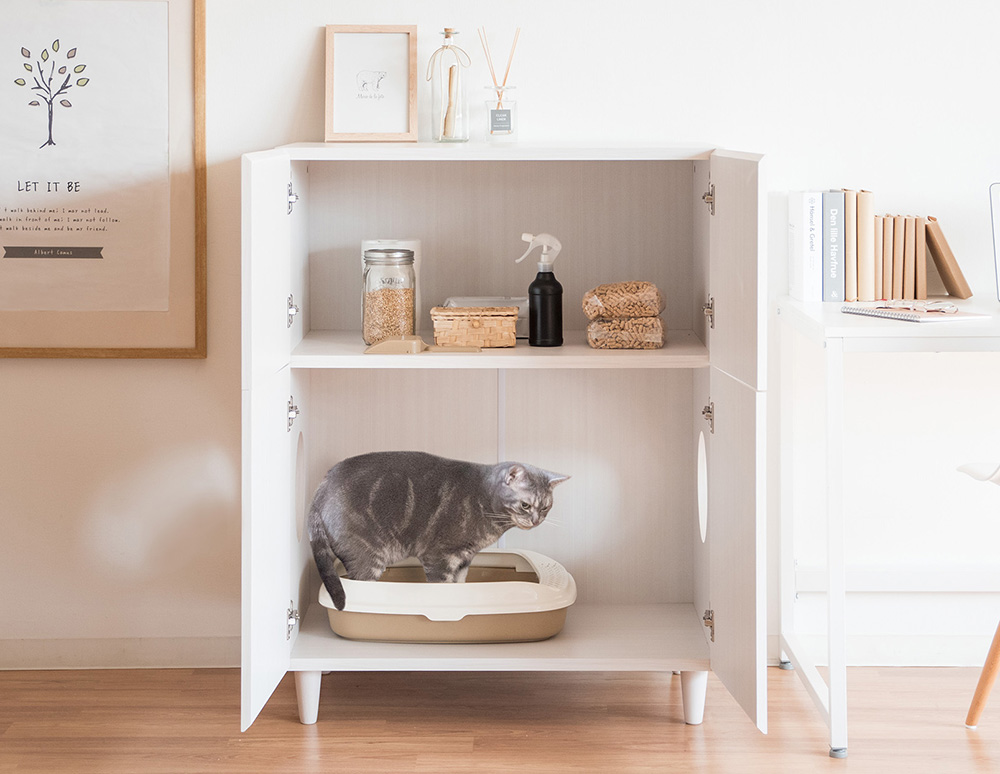 晋遊舎「MONOQLO」2025年5月号に『キャットトイレクローゼット Galetta』が掲載されました。